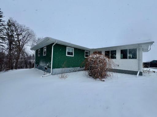Southwest side of home- with grapes