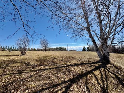 Large front yard