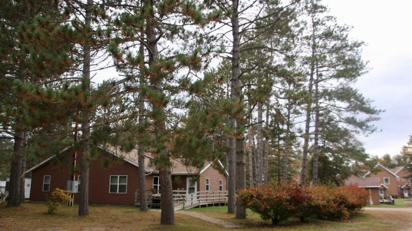 19_Cattachment (2).jpg