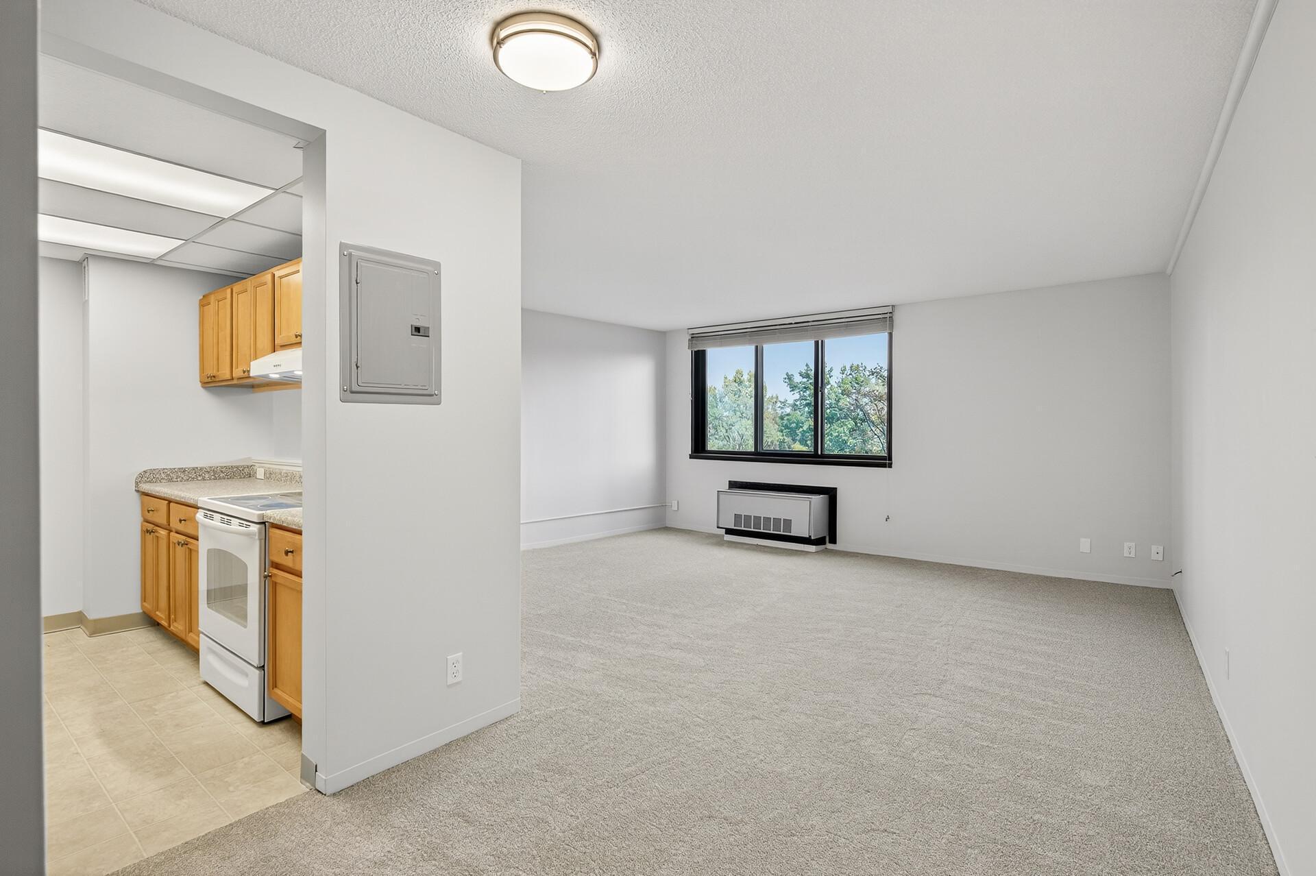 Brand new carpet and fresh paint throughout