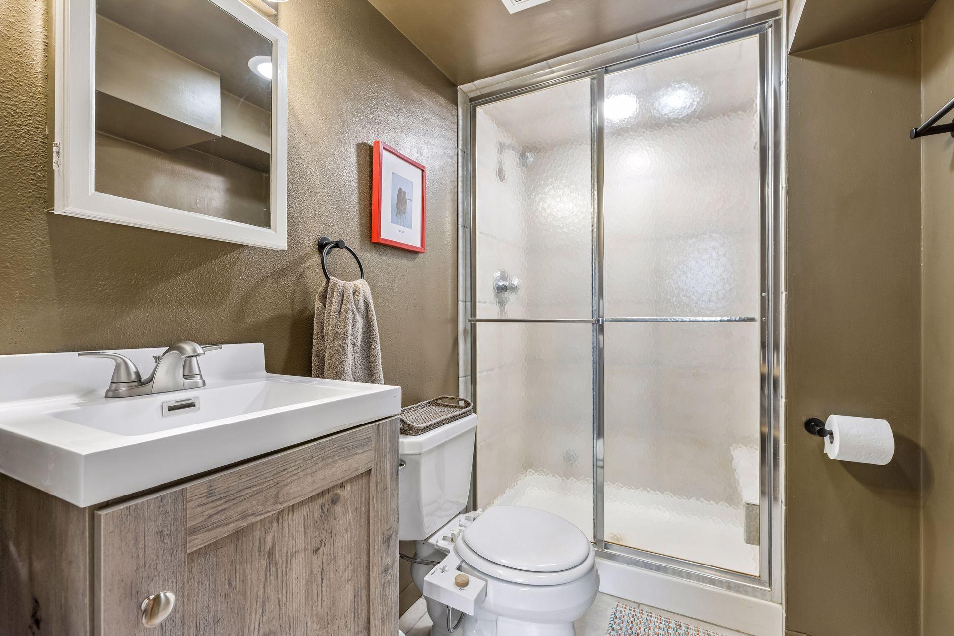 Lower level bathroom.jpg