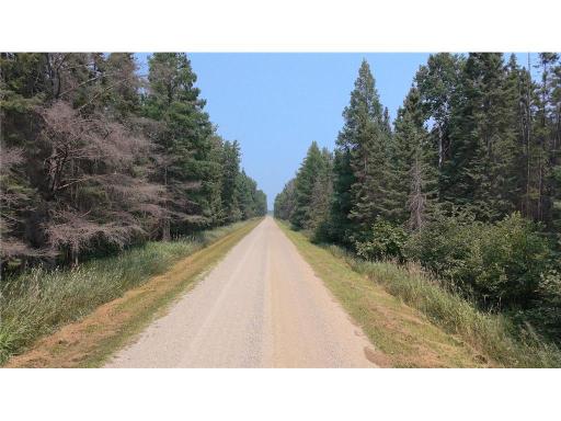 TBD 40 Acres Sunflower, Kelliher, MN 56650
