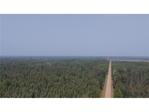 TBD 40 Acres Sunflower, Kelliher, MN 56650