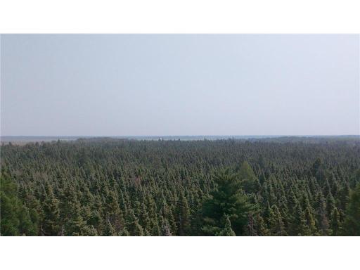 TBD 40 Acres Sunflower, Kelliher, MN 56650