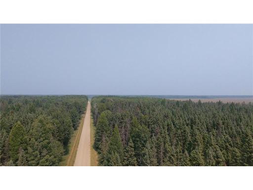 TBD 40 Acres Sunflower, Kelliher, MN 56650