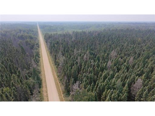 TBD 40 Acres Sunflower, Kelliher, MN 56650