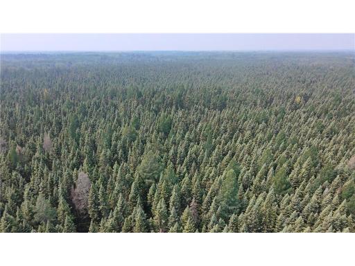 TBD 40 Acres Sunflower, Kelliher, MN 56650