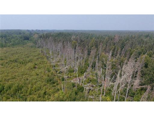 TBD 40 Acres Sunflower, Kelliher, MN 56650