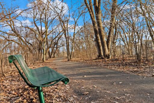 Tree's Edge Trail (2).jpg