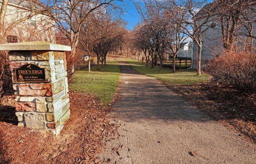 Tree's Edge Trail(1).jpg