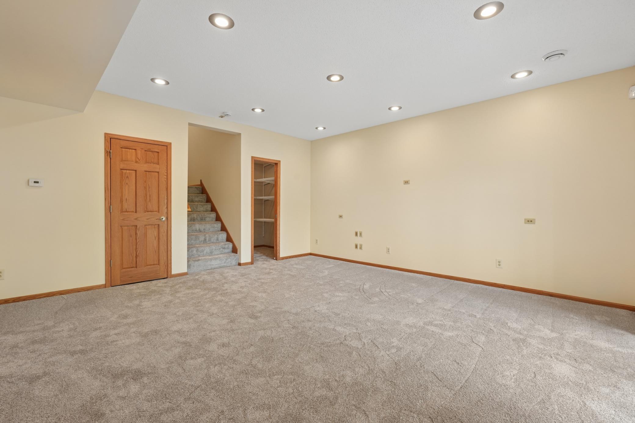 Lower Level Family Room and walk-out to patio