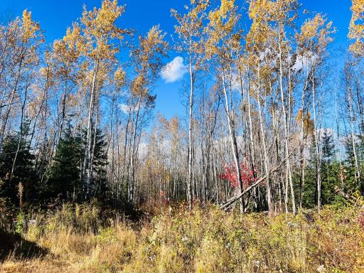 TBD Rice Rapids Road, Effie, MN 56639