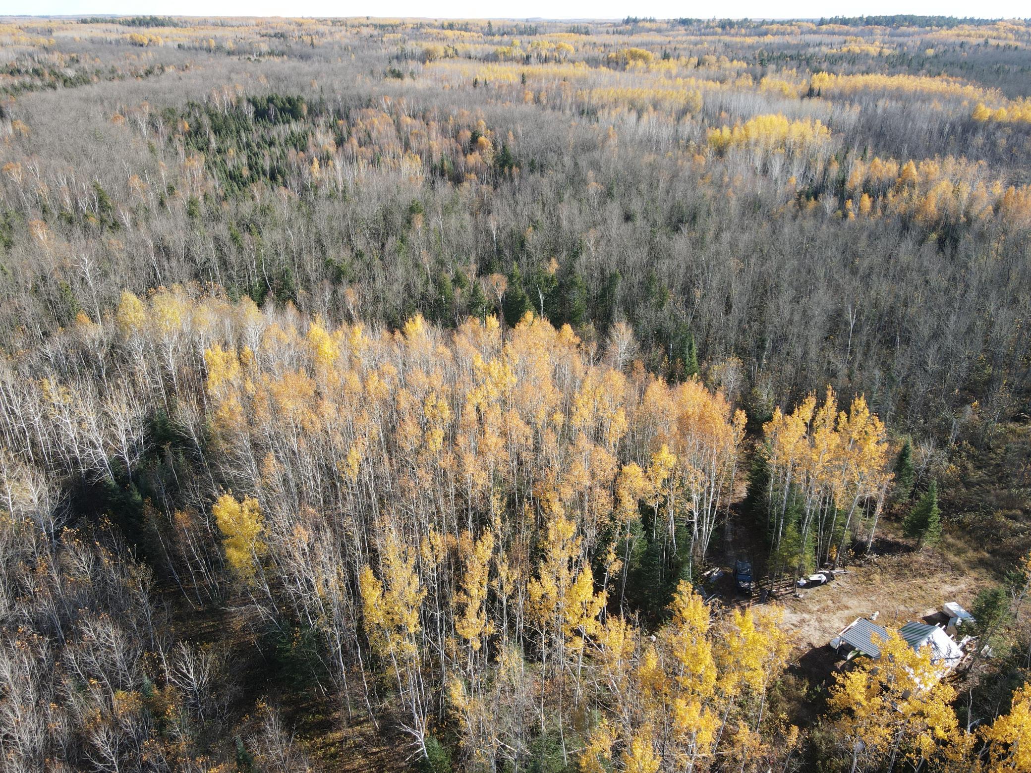DJI_0066.JPG