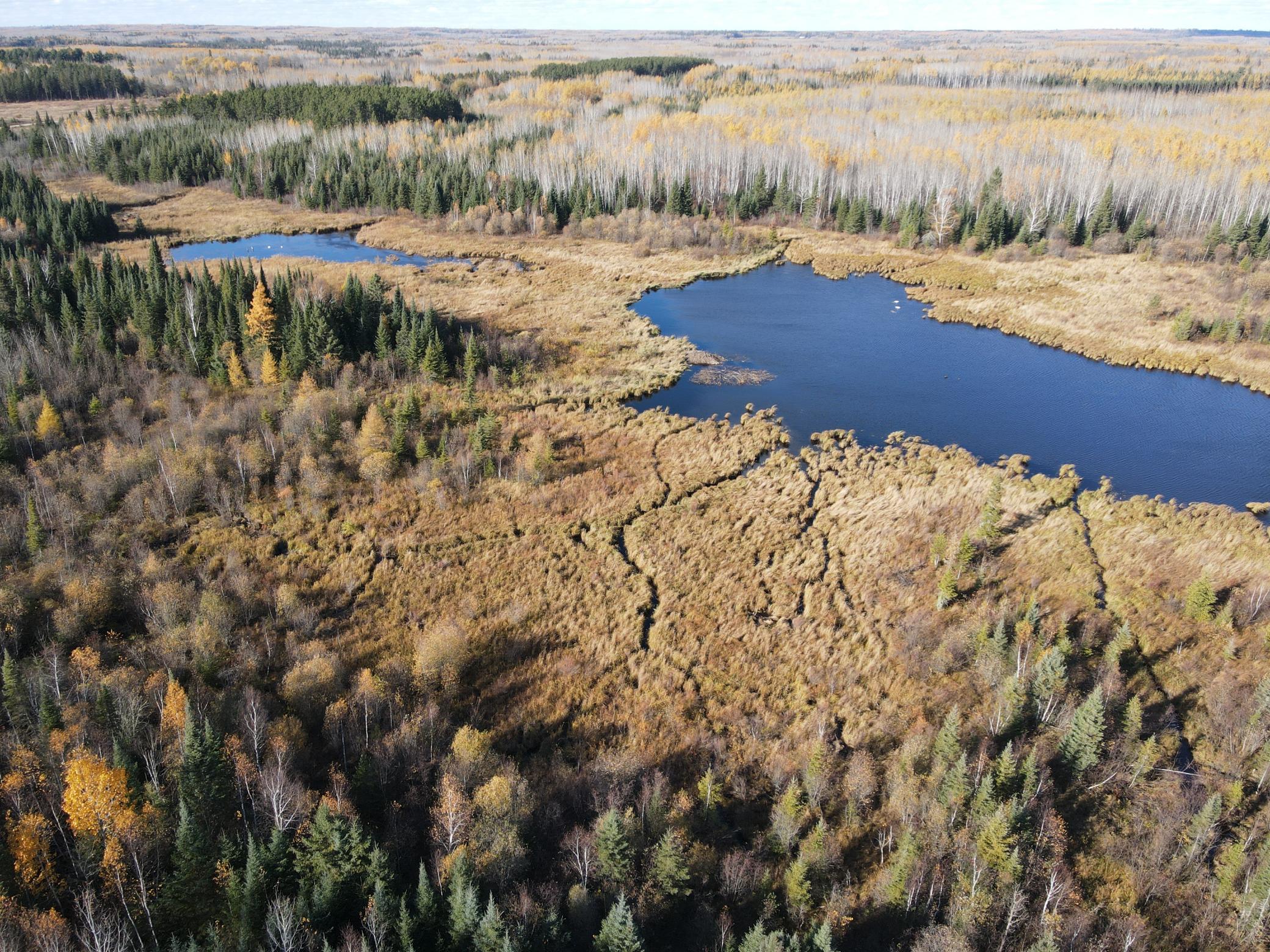 DJI_0065.JPG