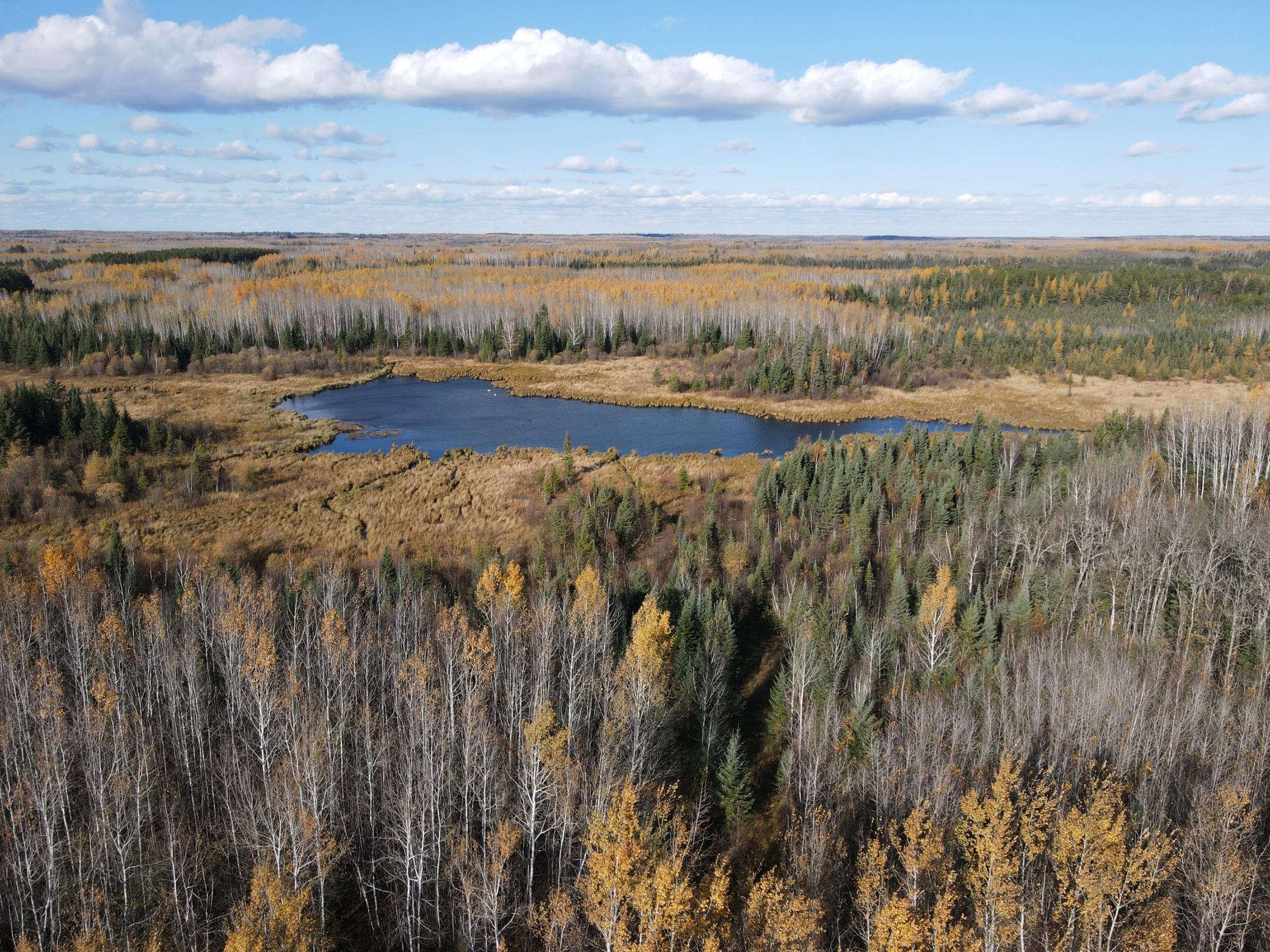 DJI_0061.JPG