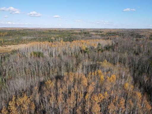 TBD Rice Rapids Road, Effie, MN 56639