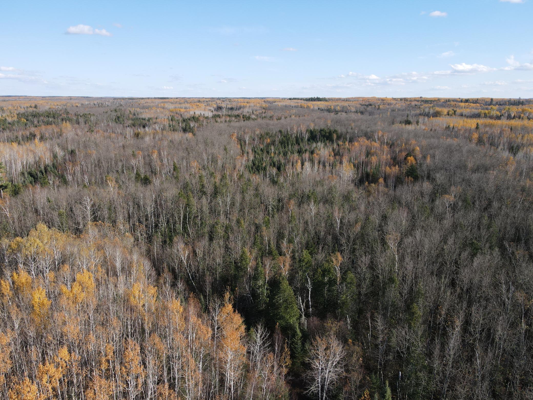 DJI_0059.JPG