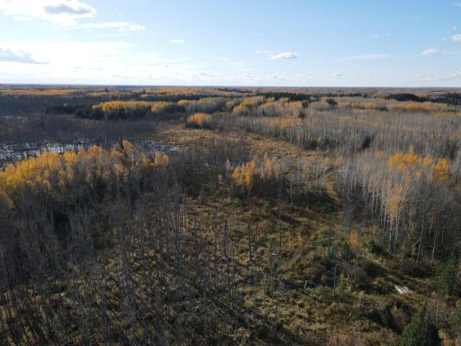 TBD Rice Rapids Road, Effie, MN 56639