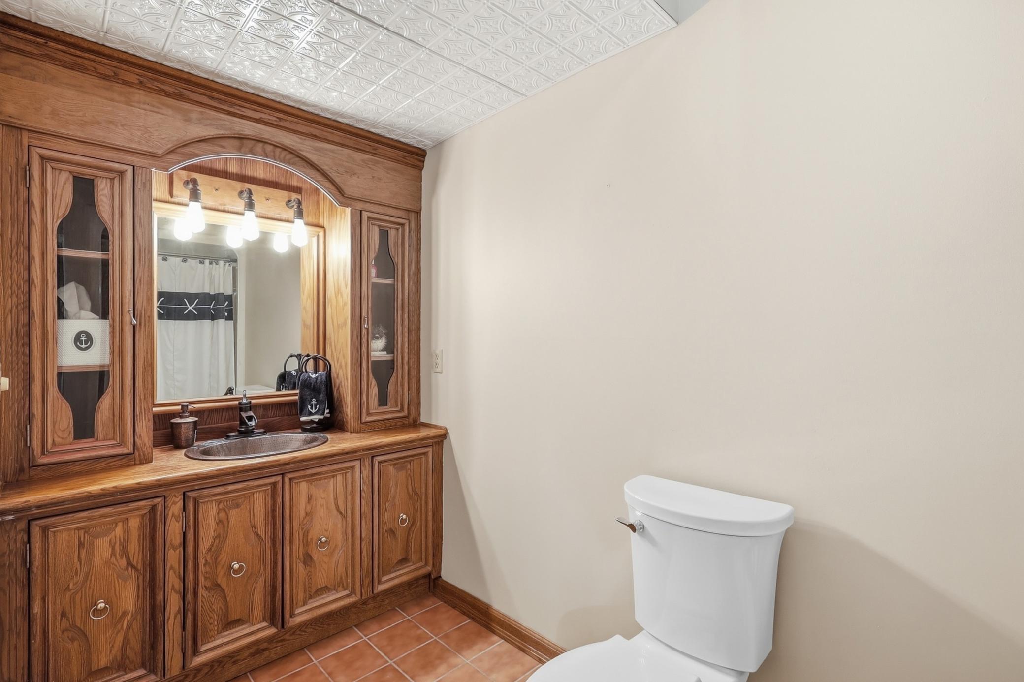 Lower level bathroom