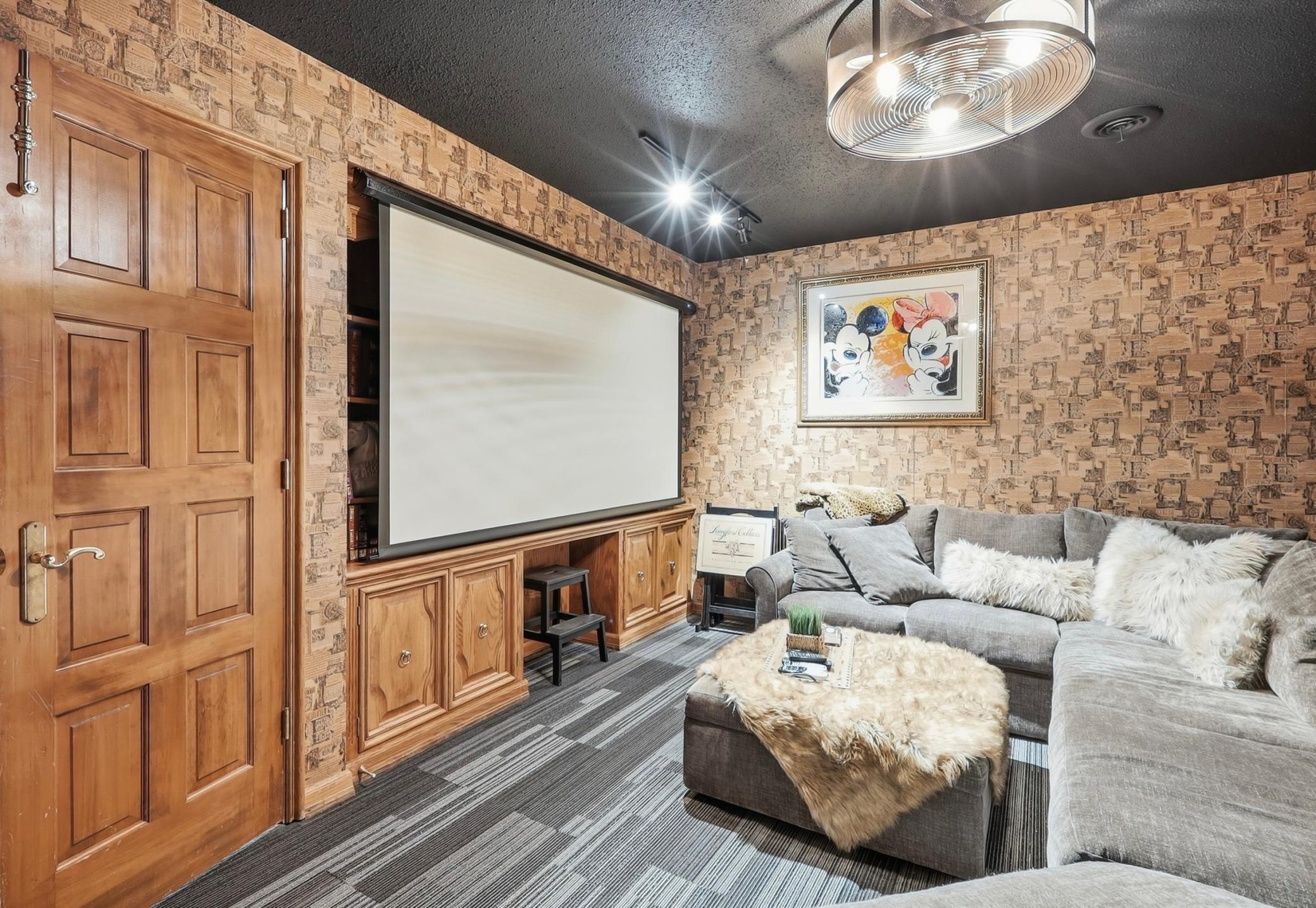 Theater/ Media room