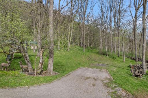 15107 County Road 25, Rollingstone, MN 55969