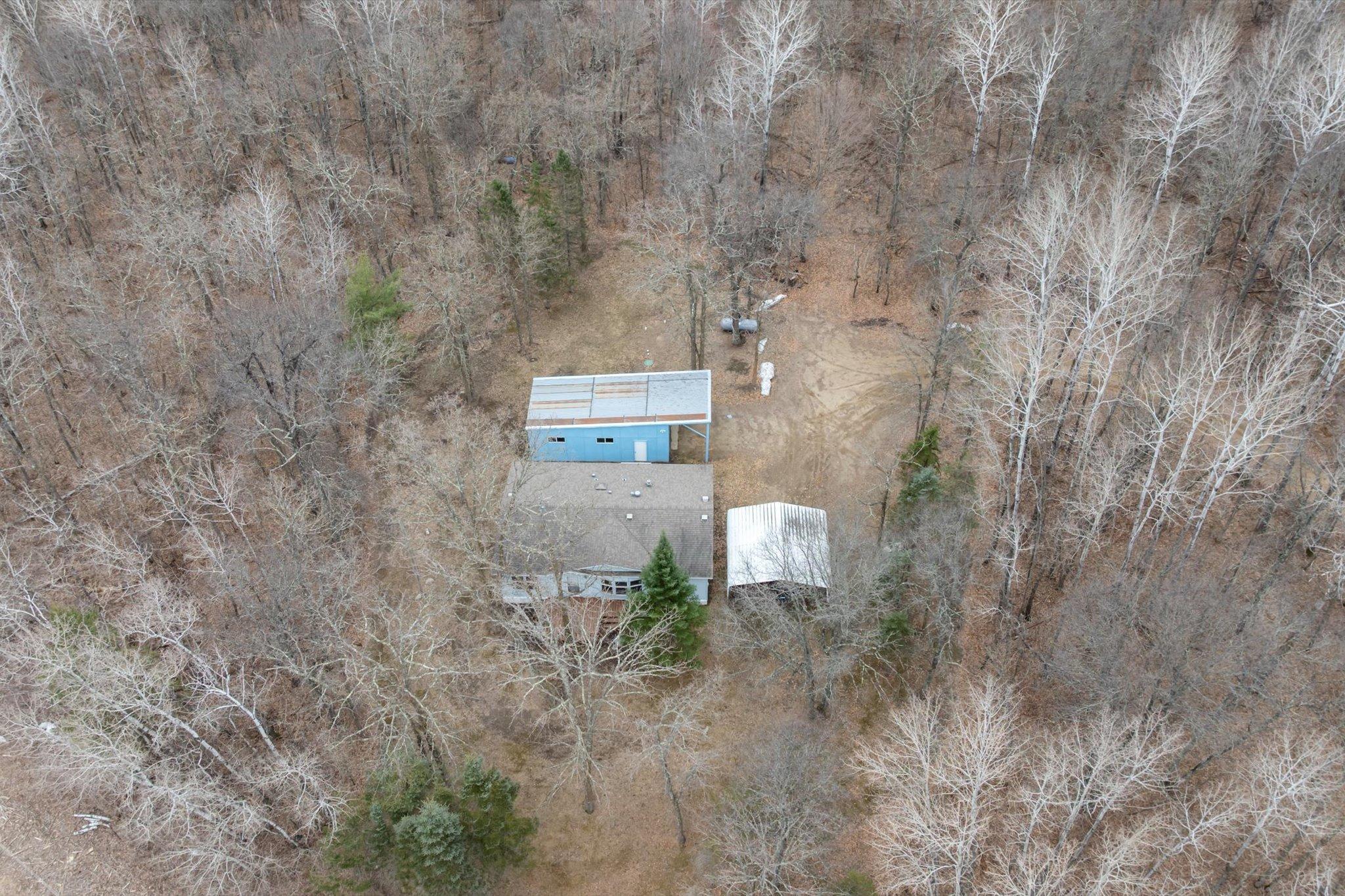 Peace among the Pines