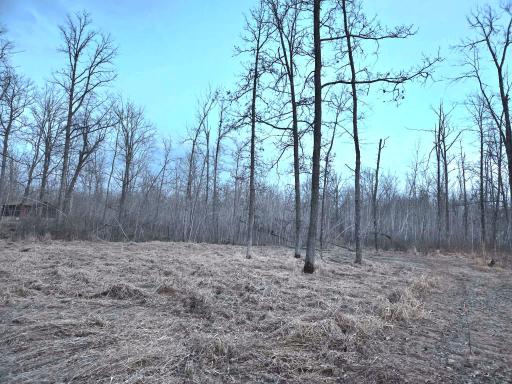 194X Old Creamery Road, Sturgeon Lake, MN 55783