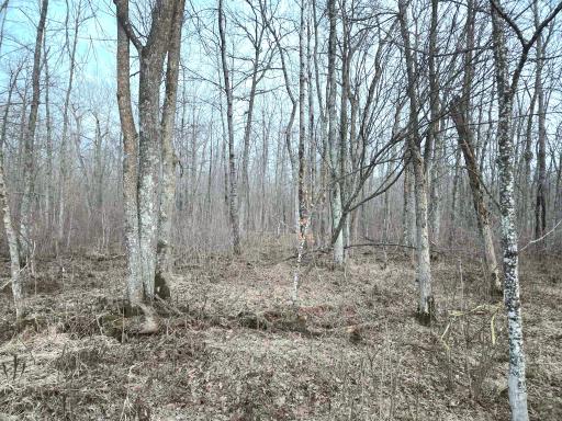 194X Old Creamery Road, Sturgeon Lake, MN 55783