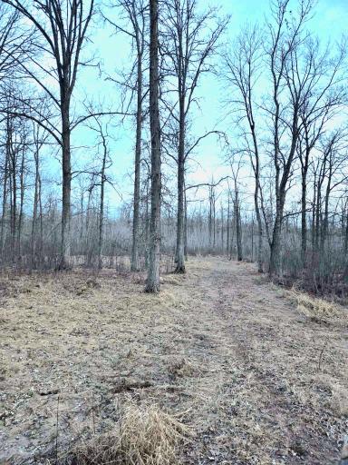 194X Old Creamery Road, Sturgeon Lake, MN 55783