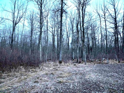 194X Old Creamery Road, Sturgeon Lake, MN 55783