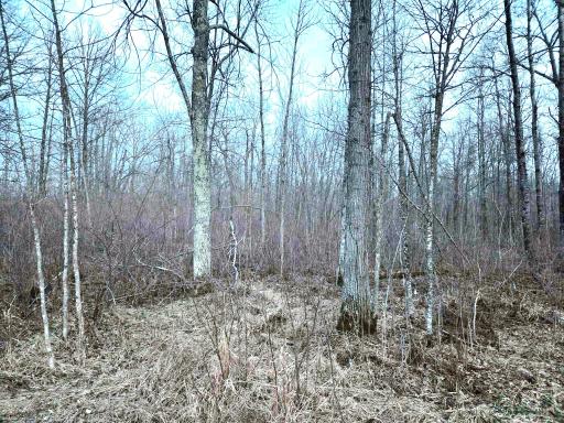 194X Old Creamery Road, Sturgeon Lake, MN 55783