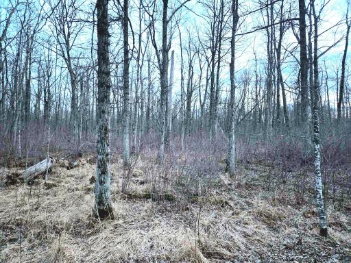 194X Old Creamery Road, Sturgeon Lake, MN 55783