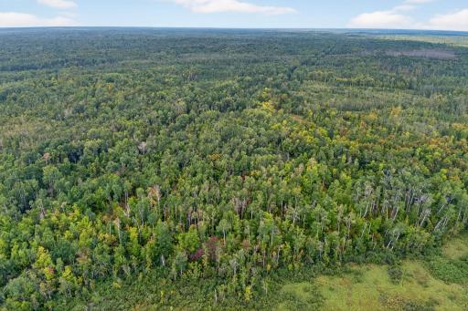 64838 Kingsdale Road, Sandstone, MN 55072