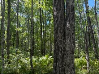 64838 Kingsdale Road, Sandstone, MN 55072