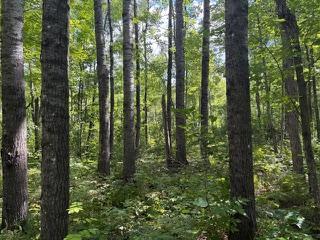 64838 Kingsdale Road, Sandstone, MN 55072