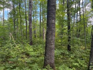 64838 Kingsdale Road, Sandstone, MN 55072