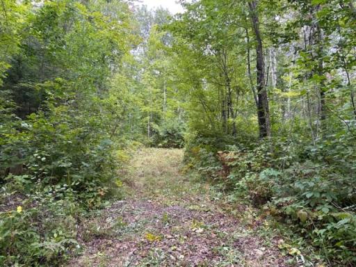 64838 Kingsdale Road, Sandstone, MN 55072