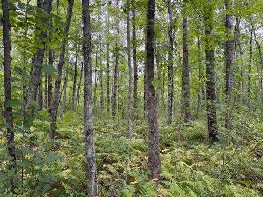 64838 Kingsdale Road, Sandstone, MN 55072