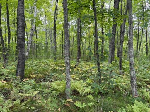 64838 Kingsdale Road, Sandstone, MN 55072