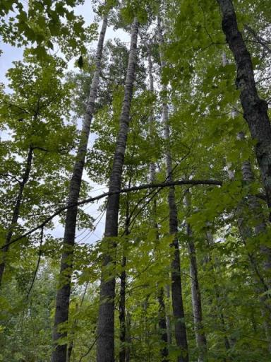 64838 Kingsdale Road, Sandstone, MN 55072