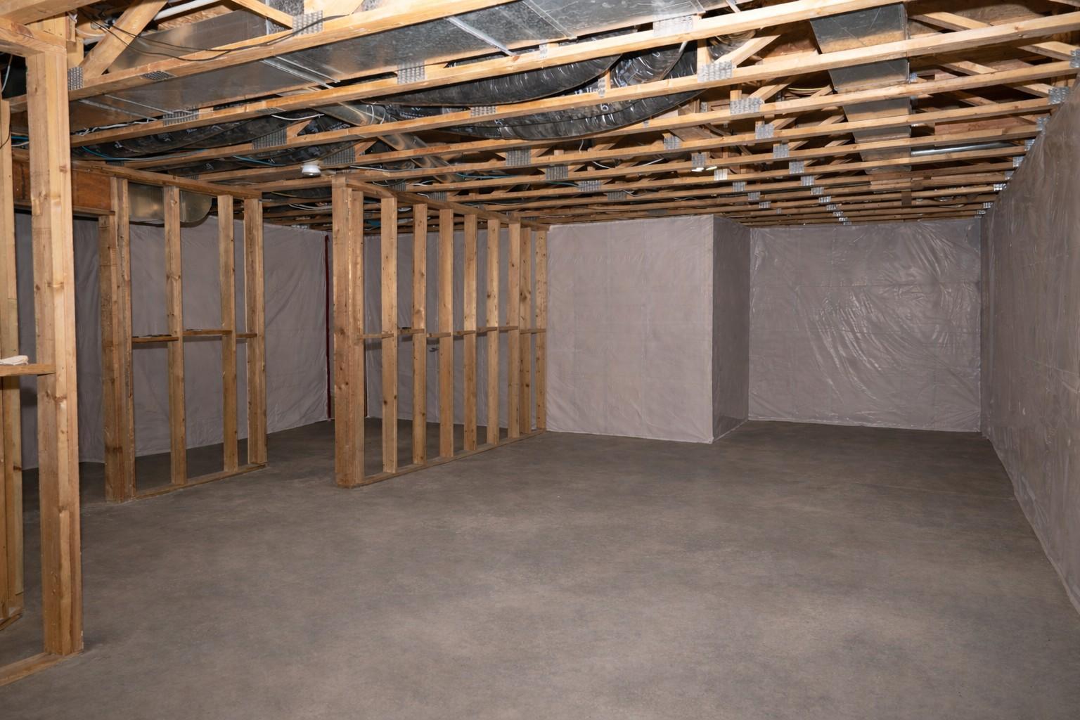 Basement Ai Visual .jpeg