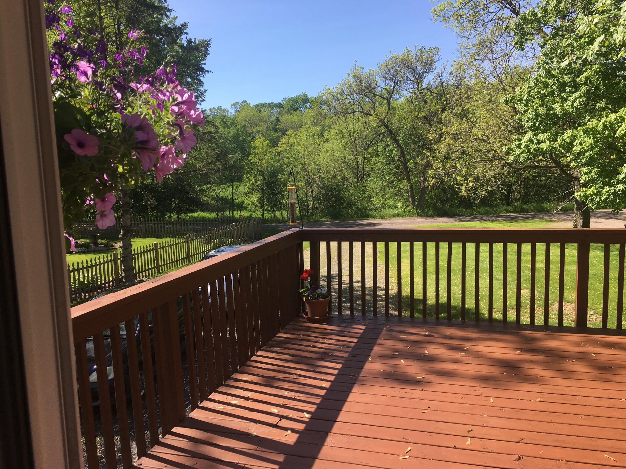 A summer view from the deck.