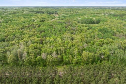 15069 County Road 109, Merrifield, MN 56465