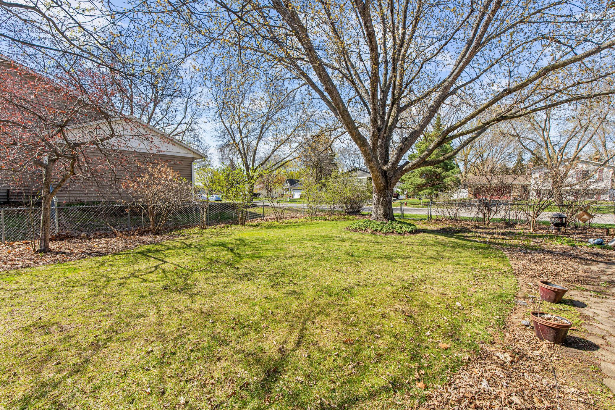 Fully fenced backyard