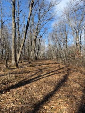 2.29 acres!
