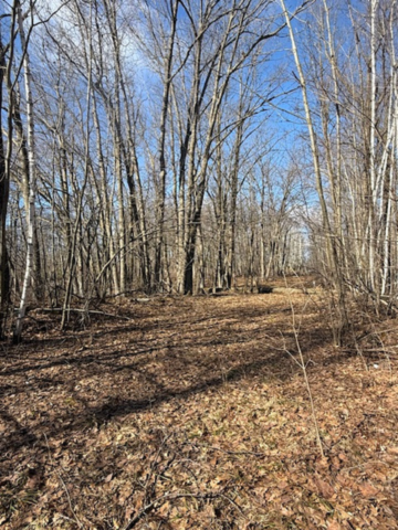 Entrance to cleared area