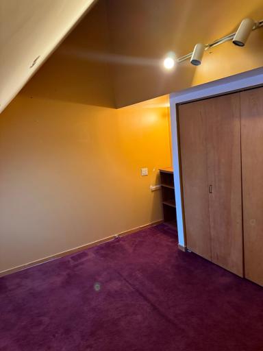BR 1- Cozy upper-level bedroom featuring a vaulted ceiling, track lighting, plush carpeting, and a built-in closet for convenient storage.040.jpeg