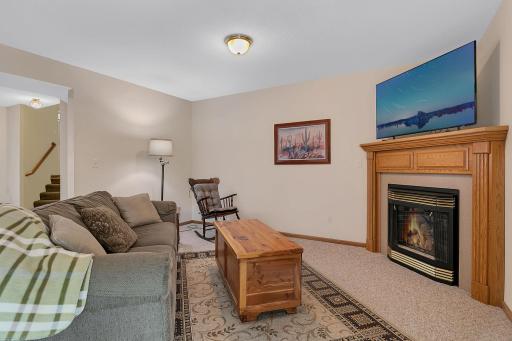 9900 W Lake Court, Rice, MN 56367