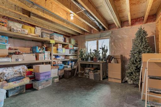 9900 W Lake Court, Rice, MN 56367