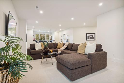 Lower level family room